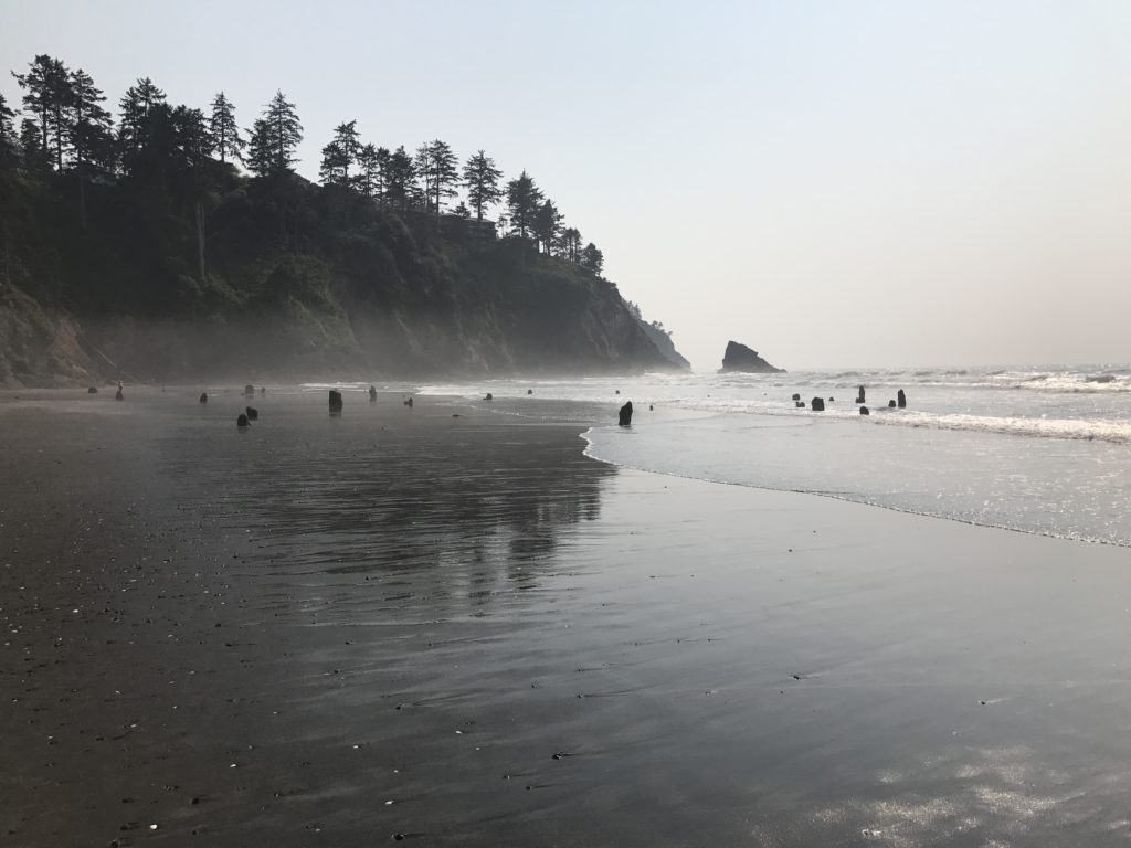 The Neskowin Ghost Forest - Quake Kit